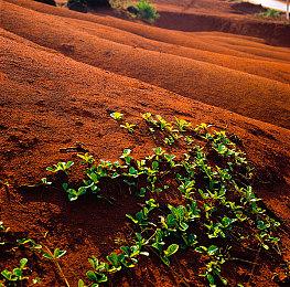 专业到位！《怪物猎人：荒野》性感NPC Gemma Cosplay